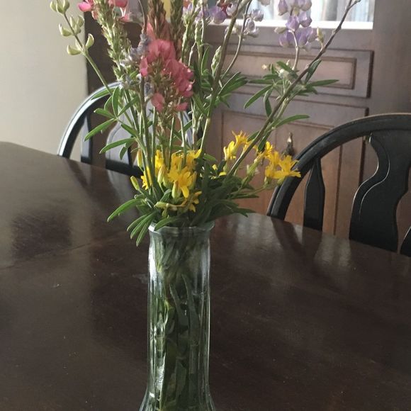 Meet your Posher, Natalie simone - Picture 1 of 1